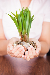 Hand Holding Coin With Plant