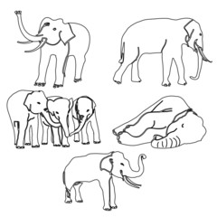elephant activities vector