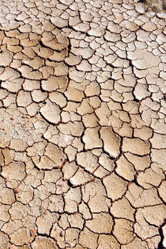 Drought, dry land, climate change