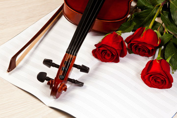 Fototapeta premium Red roses and a violin
