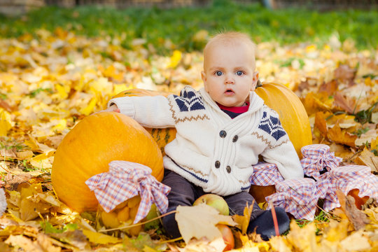 Child in knitted sweater sits among pumpkins in autumn park