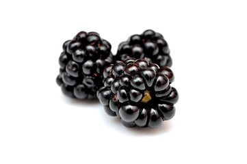 blackberries on a white background