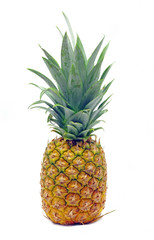 Fresh pineapple fruit over white