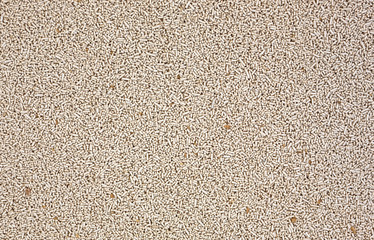 Close view organic active dry yeast