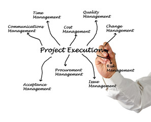 project execution