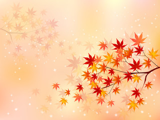 もみじ　紅葉　背景