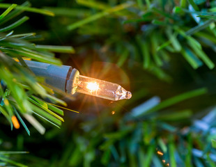 Single minature bulb from xmas tree