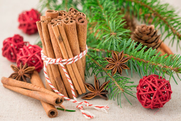 Fototapeta na wymiar Anise and cinnamon with fir