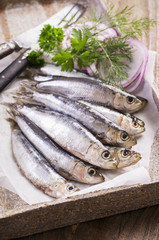 Sardinen