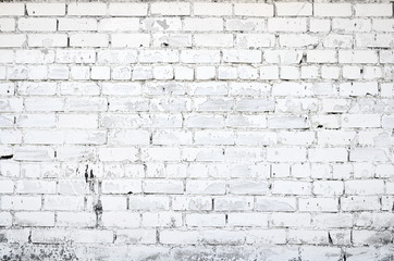 White brick wall - 55894388