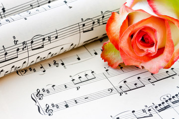 Notenblatt mit Rose