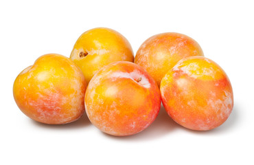 plum yellow group
