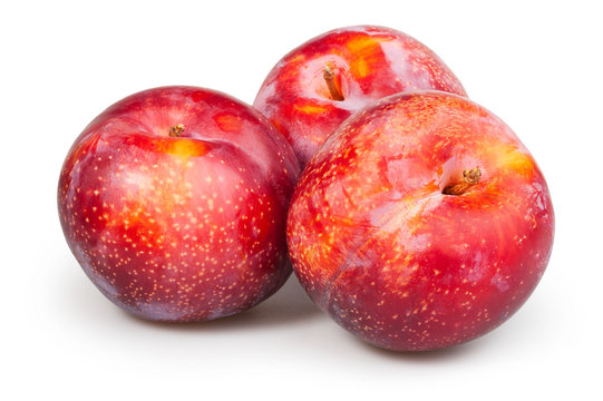 plum red group
