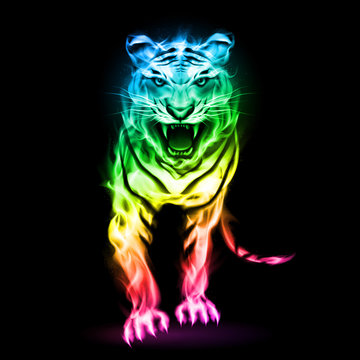 Colorful fire tiger.