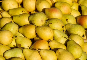 Pears on pile