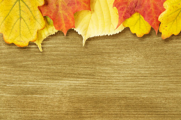 Different autumn leaves opn gold wood plank