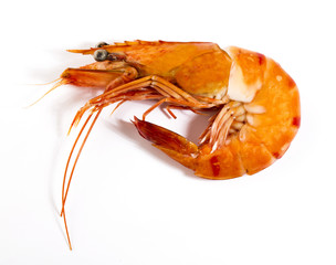 Cooked unshelled tiger shrimp isolated on white