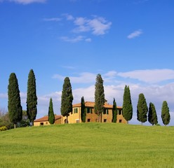 Toskana Haus - Tuscany house 16