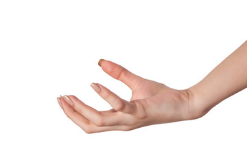 Female hand reaching for something on white