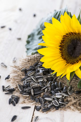 Fototapeta premium Fresh Sunflower Seeds