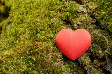 Heart shape on a moss background