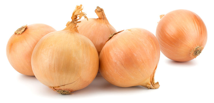 Fresh bulbs of onion on a white background
