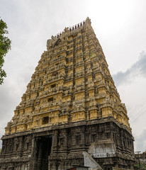 india, kanchipuram