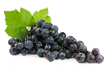 bunch of blue grapes