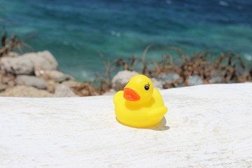 Canard de bain en Grèce