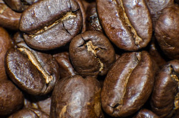 Roasted coffee beans extra close-up