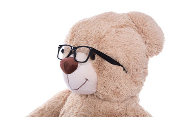 Teddybär mit Brille isoliert - Brillenträger