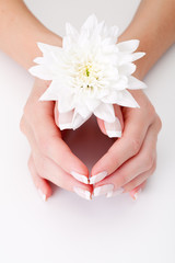 white flower with hands