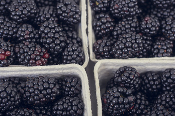 Brombeeren