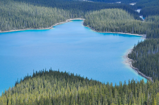 Peyto Lake, Rocky Mountains, Canada