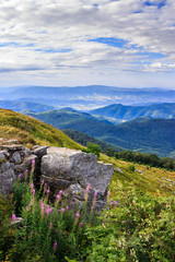Fototapeta premium rocky ledge on the hillside. vertical