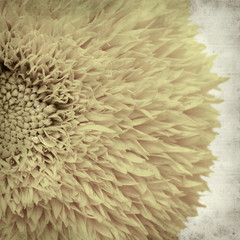 textured old paper background