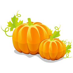 two vector pumpkin