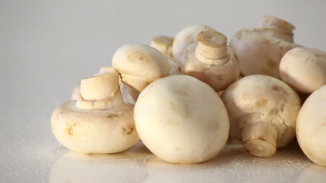Water splashed on agaricus