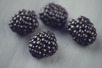 Berries: blackberry, studio shot