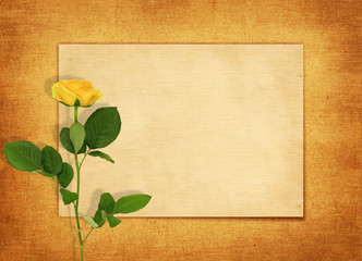 Old blank card with a single yellow rose
