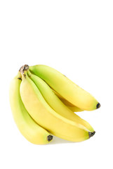 Bunch Of Bananas