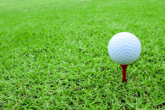 golf ball on a tee in green grass course
