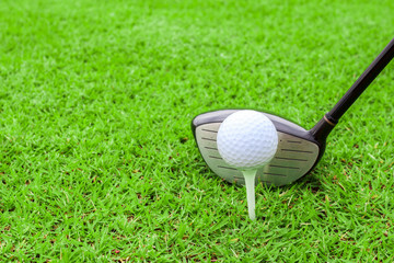 golf tee ball club driver in green grass course preparing to sho