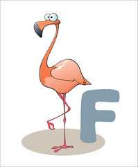 Cartoon Flamingo and letter F