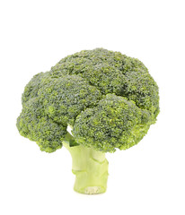 Fresh broccoli.
