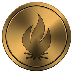 Shiny metallic copper-colored icon