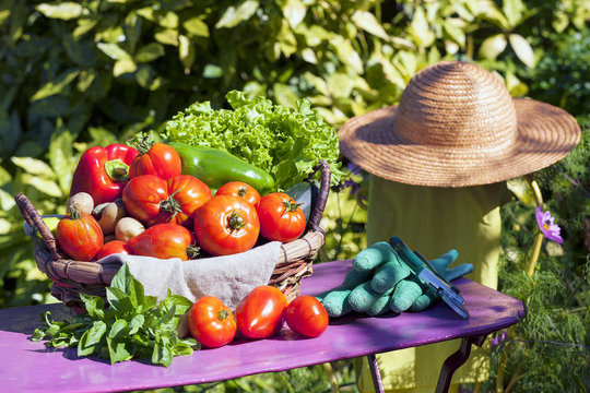 Some vegetables in a basket