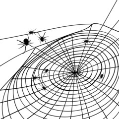 Obraz premium Spider and cobweb. Background.