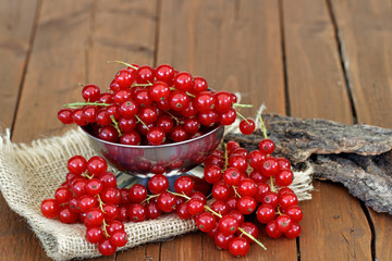 Rote Johannisbeeren