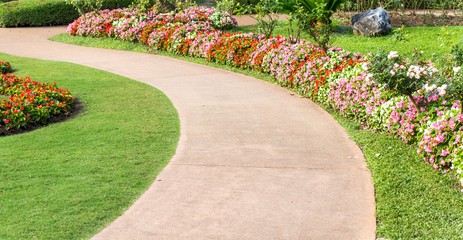 Cement pathway in flowers garden